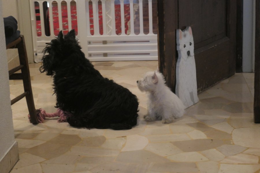 20240329-Vita con Priscilla e Adelina_011