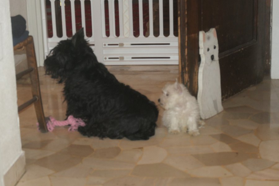 20240329-Vita con Priscilla e Adelina_012