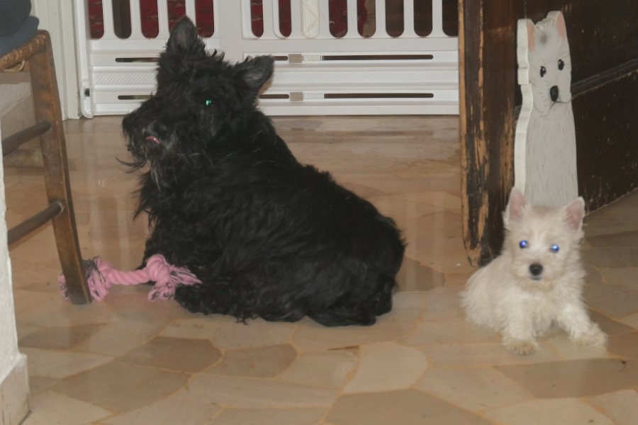 20240329-Vita con Priscilla e Adelina_013