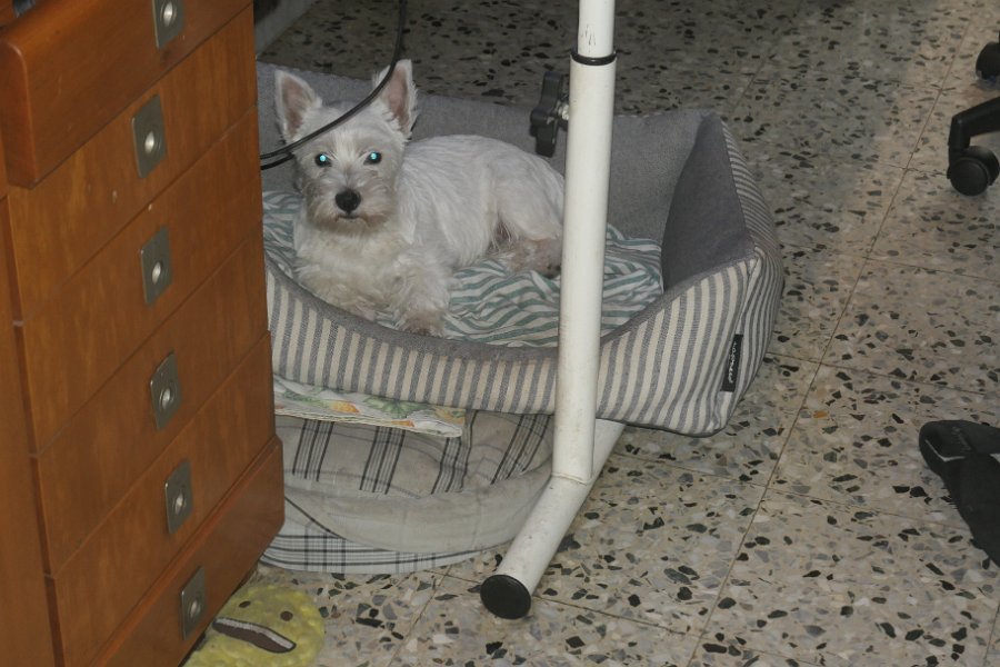 20240614-Vita con Priscilla e Adelina_003