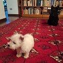 20240319-Vita con Priscilla e Adelina_001