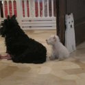 20240329-Vita con Priscilla e Adelina_011
