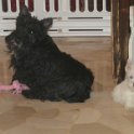 20240329-Vita con Priscilla e Adelina_013