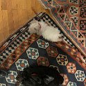 20240415-Vita con Priscilla e Adelina_008