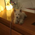 20240420-Vita con Priscilla e Adelina_019