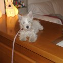 20240420-Vita con Priscilla e Adelina_020