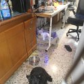20240614-Vita con Priscilla e Adelina_002