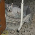 20240614-Vita con Priscilla e Adelina_003