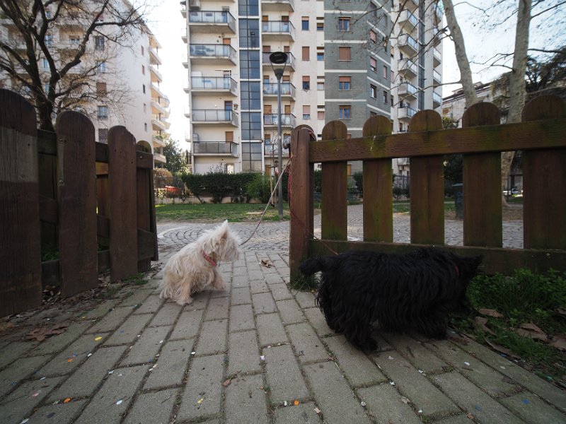 20250302-Giardinetti Ramelli_015