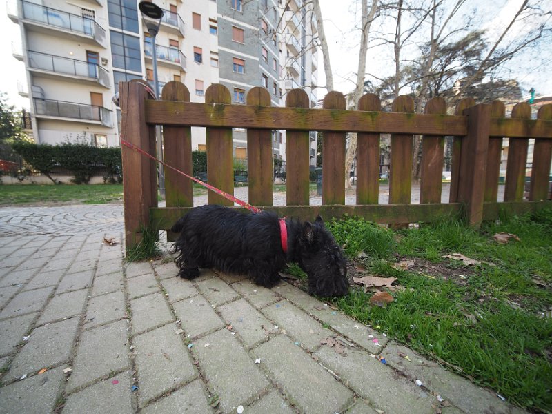 20250302-Giardinetti Ramelli_016