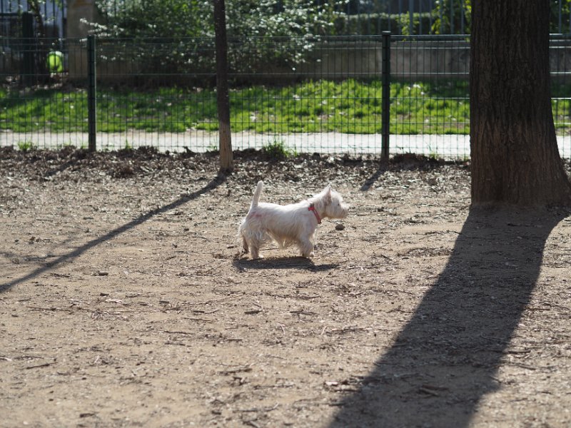 20250308-Giardinetti Ramelli_024