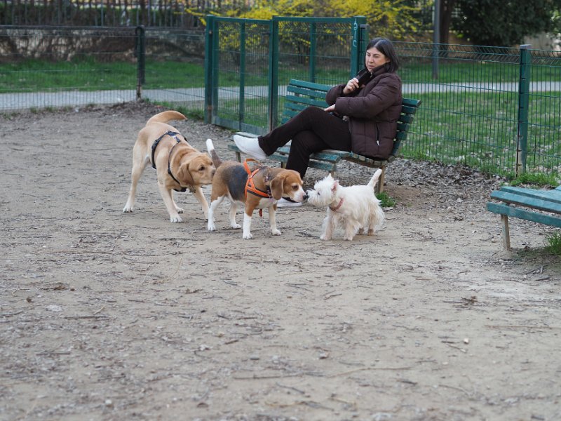 20250308-Giardinetti Ramelli_030
