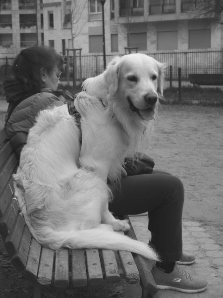 20250309-Giardinetti Ramelli_006-edit (2)