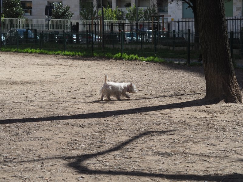 20250330 - Vita con Priscilla e Adelina_011