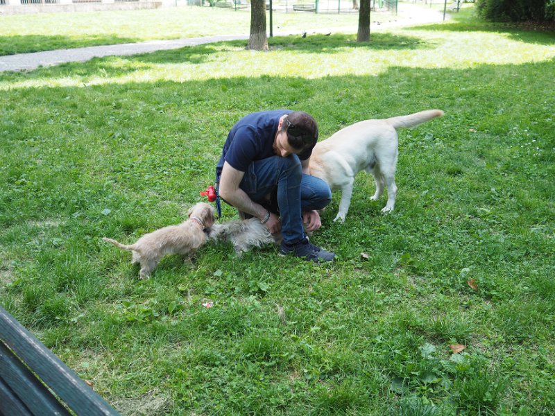 20250517-Giardinetti Ramelli con Atlas e Gigia_002