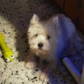 20160101-Priscilla_001-edit