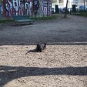 20250227-Giardinetti Ramelli_013