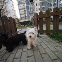 20250302-Giardinetti Ramelli_012