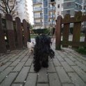 20250302-Giardinetti Ramelli_014