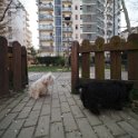 20250302-Giardinetti Ramelli_015