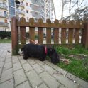 20250302-Giardinetti Ramelli_016