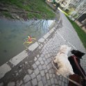 20250302-Giardinetti Ramelli_018