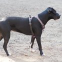 20250308-Giardinetti Ramelli_008