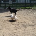 20250308-Giardinetti Ramelli_015