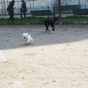 20250308-Giardinetti Ramelli_020