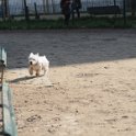 20250308-Giardinetti Ramelli_021