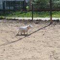 20250308-Giardinetti Ramelli_023