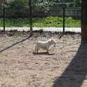 20250308-Giardinetti Ramelli_024