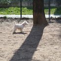 20250308-Giardinetti Ramelli_025