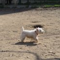 20250308-Giardinetti Ramelli_029