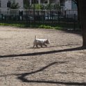 20250330 - Vita con Priscilla e Adelina_011