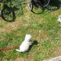 20260430 -Giochi in giardino_001