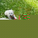 20260430 -Giochi in giardino_012