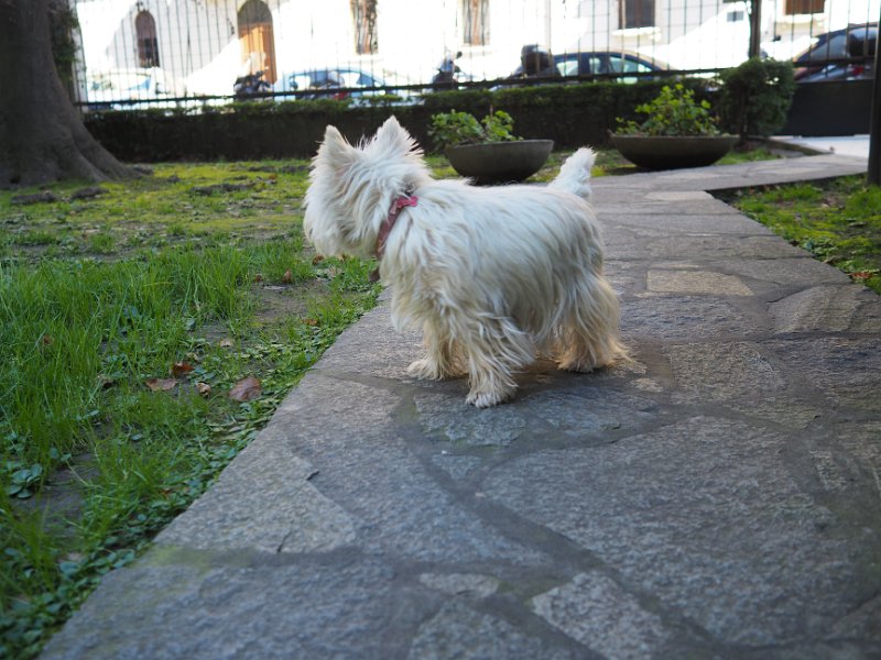 20260217 - Priscilla_004