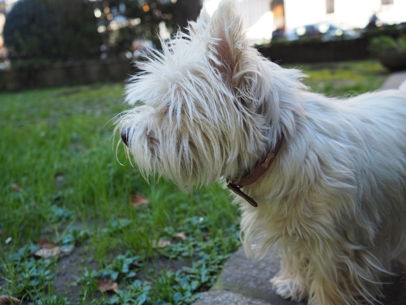 20260217 - Priscilla_005