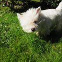 20260217 - Priscilla_003