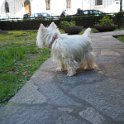 20260217 - Priscilla_004