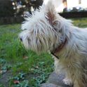 20260217 - Priscilla_005