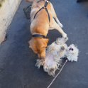 20260217 - Priscilla_007