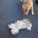 20260217 - Priscilla_008