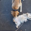 20260217 - Priscilla_009