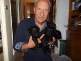 20140618 - Cuccioli_004