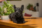 20140727 - Ferdinand_002