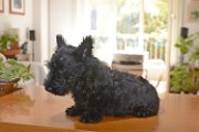 20140731 - Reginald _004