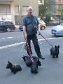 20140804 - Cuccioli a spasso_001