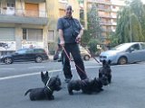 20140804 - Cuccioli a spasso_002